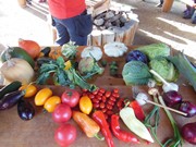 Výlet do Ekocentra MB - Spižírna